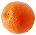 Orange guilaine de seze